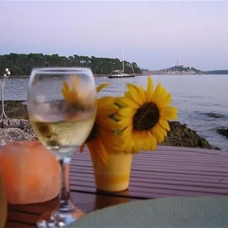 Studio In With Balcony, Wifi, Washing Machine * Rovinj